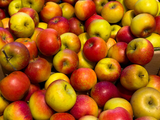 Freshly harvested apples stacked in a market displaying vibrant colors and variety