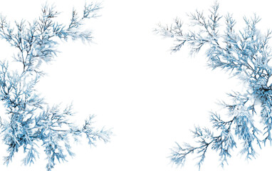 Frosty Leaves with Cool Blue Tones for Winter Themes Isolated on transparent background