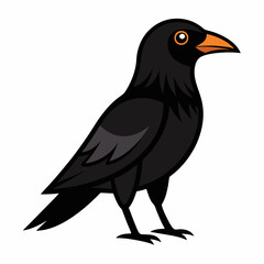 crow on a white background