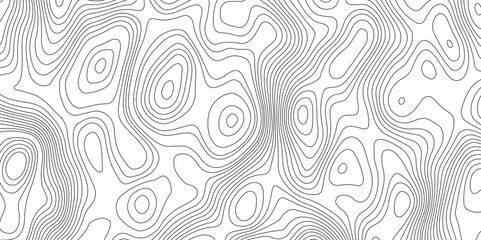  Abstract topographic contours map background, Vector contour topographic map.