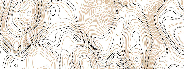 Topographic wave and curve line contour map background. Abstract wavy topographic map and curved lines background. Abstract geographic wave grid line map. Vector illustration.	