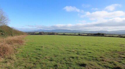 Obraz premium Serene landscape of a vast green field under a bright blue sky, featuring distant mountains and hedgerows.