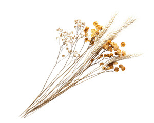 Dried floral arrangement with various textures on white isolate background.