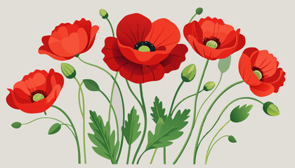Fototapeta premium Beautiful Red Poppy Flower Illustration, Coquelicots sur fond transparent pour bannière.