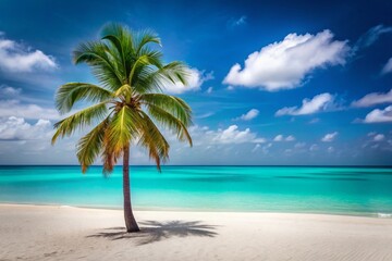 Obraz premium Minimalist Aruba Beach: Turquoise Water, White Sand, Palm Silhouette