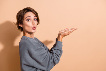 Photo portrait of attractive young woman shocked face palms hold empty space wear trendy gray...
