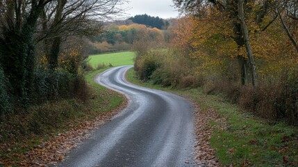 Fototapeta premium Countryside road through the wood in autumn
