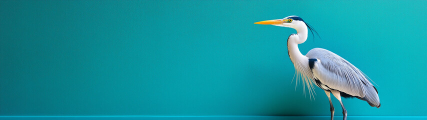 Fototapeta premium Elegant heron against a teal background perfect for minimalist designs and nature-focused branding. Copy space