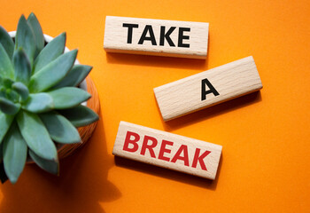 Take a break symbol. Concept words Take a break on wooden blocks with succulent plant. Beautiful...