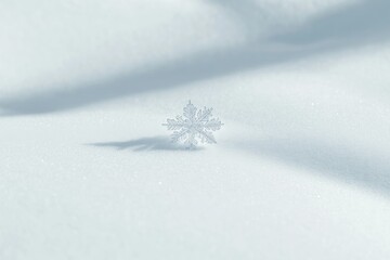 A single, delicate snowflake rests on a pristine blanket of snow, casting a subtle shadow.