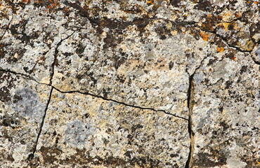 Rock Surface Textured Close Up Natural Earthy Tones Beautiful Detail