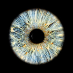 auge, iris, augapfel, pupille, blick, licht, netzhaut, anschauen, anatomie, anblick, ball, blau,...