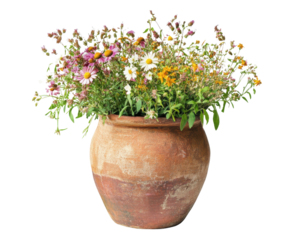 Flower pot filled with colorful wildflowers, white isolated background.
