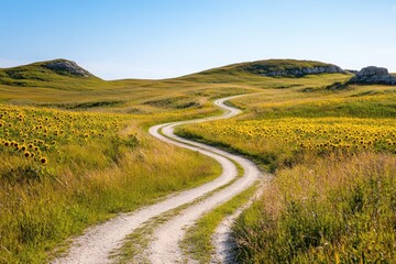 Curvy Road in Sunflower Field Landscape