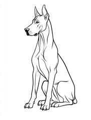 Fototapeta premium Majestic Great Dane: Line art portrait of a Great Dane sitting majestically, showcasing its elegant form and noble presence. A perfect image for design projects, illustrations.