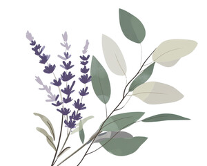 Lavender plant with leaves, artistic illustration, transparent background.