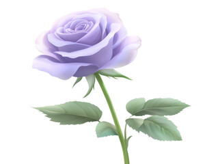 Obraz premium Lavender rose with delicate petals and green leaves, white isolated background