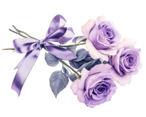 Lavender roses tied with a purple ribbon on a white isolated background.