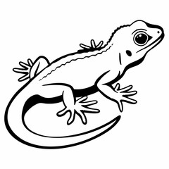 illustration of a frog