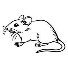 Obraz premium rat