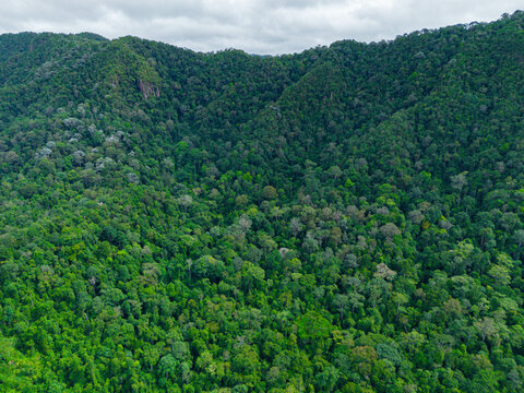 Aerial drone view of majestic Singgora mountain range scenery with lush green forest at Tasik Pedu or Pedu Lake in Kuala Nerang, Kedah, Malaysia
