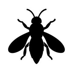 Detailed Vector Illustration of a Fly
