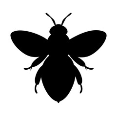 High-Quality Fly Vector Design