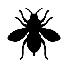 Free Download: Black Fly Vector Graphic