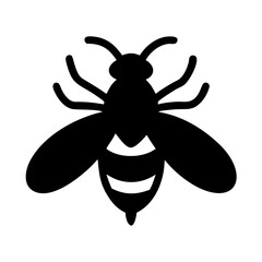 Free Download: Black Fly Vector Graphic
