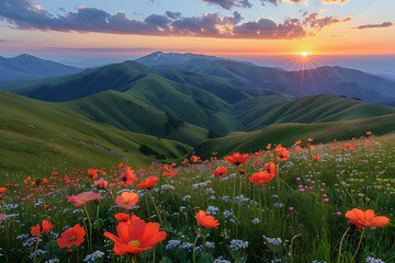 l view of natural sunrise in summer