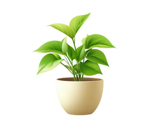 Potted green plant with vibrant leaves on a white isolated background.