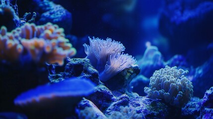 Naklejka premium Seabed. Background with corals and fish.