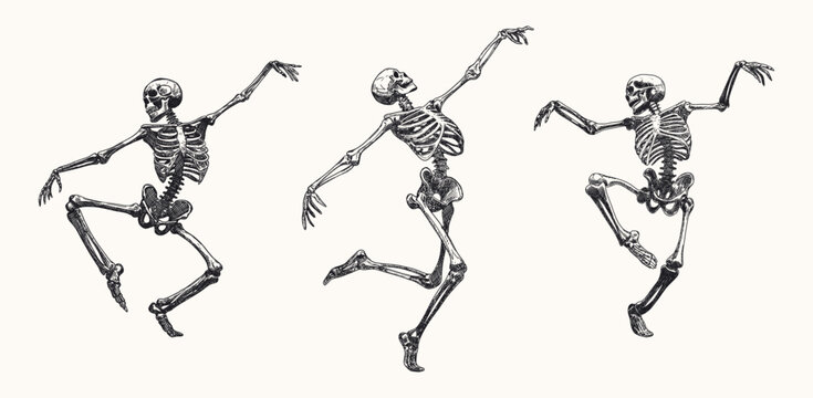 skeletons set isolated in various dynamic poses movement hand drawn sketch card design element line art detailed vector illustration