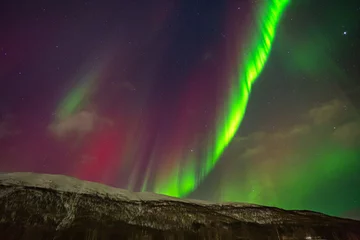 Aurores boréales tromso Norvège © Pierre