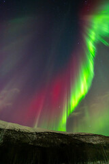 Aurores boréales tromso Norvège