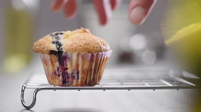 Female hand puts blueberry muffin on a cooling rack.
