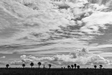 Clouds hover over the Stick Marsh, a water management and waterfowl management area in Brevard County, Florida.