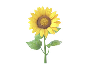 Fototapeta premium Sunflower with vibrant yellow petals, isolated on a white background.