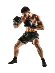 Muscular male boxer in fighting stance wearing gloves and shorts, isolated on transparency background, showcasing strength and determination