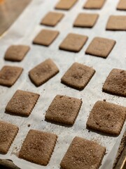 Homemade Organic Whole Wheat Graham Crackers on Parchment Paper Covered Cookie Sheet.