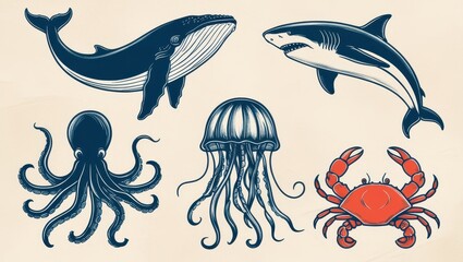 Ocean Wildlife Collection Whale Shark Octopus Jellyfish and Crab Illustrations