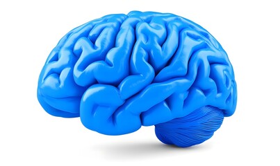 3D render of a blue human brain, isolated on white.