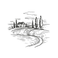  Italian Tuscan landscape with field.  line art hand drawn landscape, vintage cover, wine brand, tourism