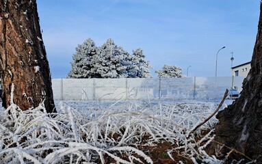 frostiger Morgen mit Raureif