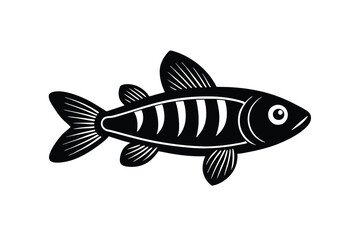 illustration of a  celestial fish