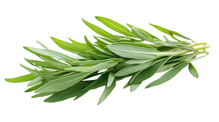 Fresh tarragon sprigs ready for culinary delights in a bright kitchen setting
