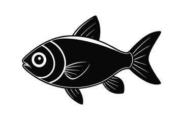 illustration of a pacu fish