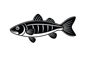 illustration of a walleye  fish