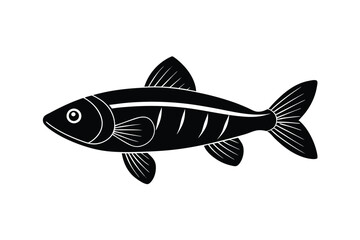 illustration of a cob danlo fish