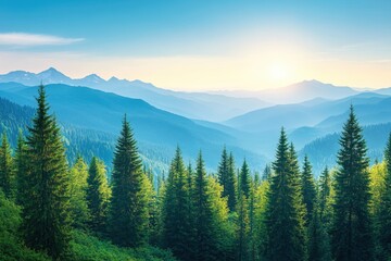 Fototapeta premium Serene Sunrise Mountain Vista Green Pine Forest Landscape